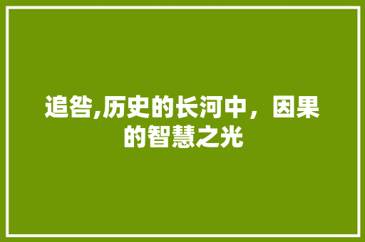 追咎,历史的长河中，因果的智慧之光