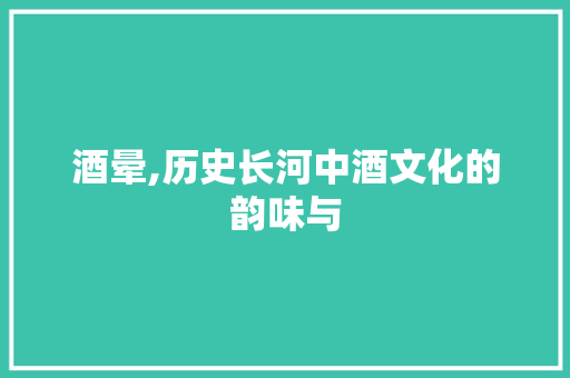 酒晕,历史长河中酒文化的韵味与