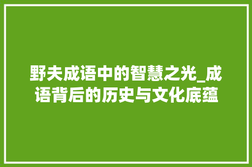 野夫成语中的智慧之光_成语背后的历史与文化底蕴