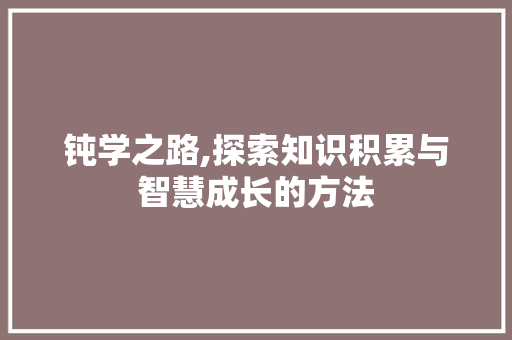 钝学之路,探索知识积累与智慧成长的方法