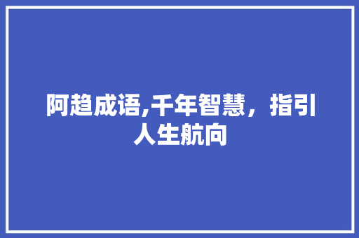 阿趋成语,千年智慧，指引人生航向
