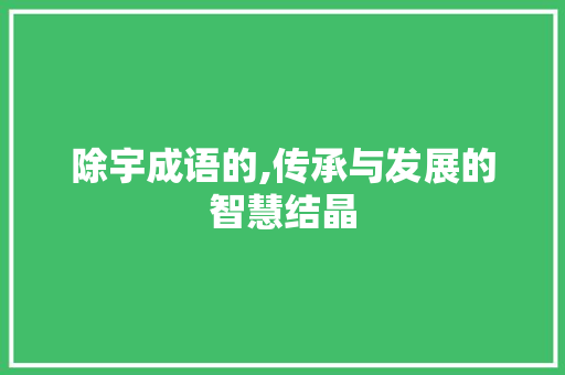 除宇成语的,传承与发展的智慧结晶