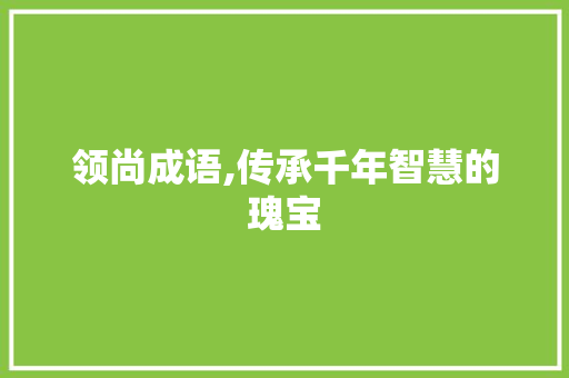 领尚成语,传承千年智慧的瑰宝