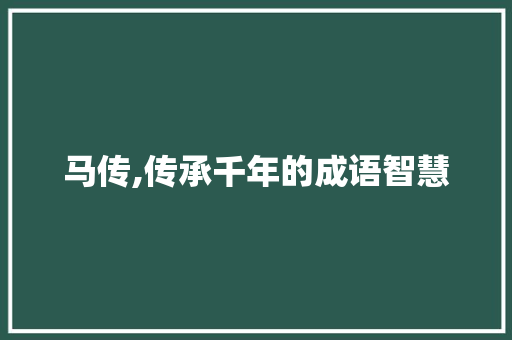 马传,传承千年的成语智慧