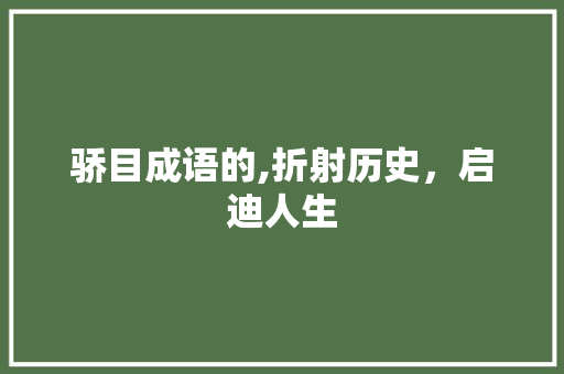 骄目成语的,折射历史，启迪人生