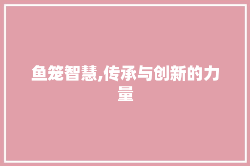 鱼笼智慧,传承与创新的力量