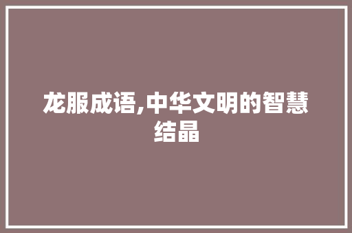 龙服成语,中华文明的智慧结晶
