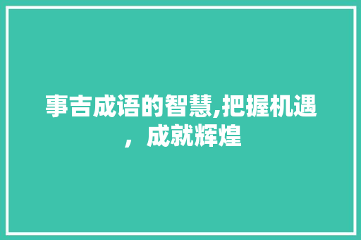 事吉成语的智慧,把握机遇，成就辉煌
