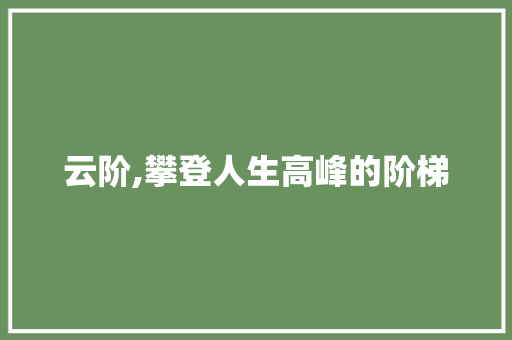 云阶,攀登人生高峰的阶梯