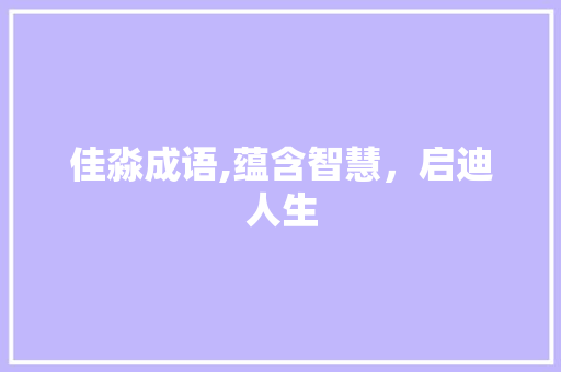 佳淼成语,蕴含智慧，启迪人生