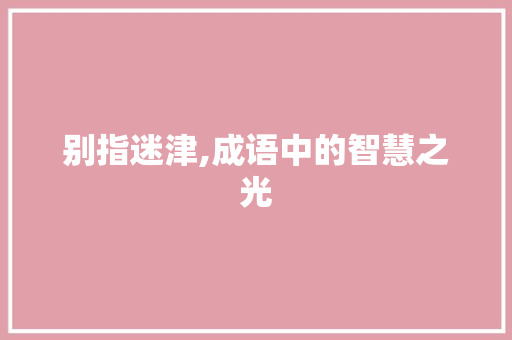 别指迷津,成语中的智慧之光
