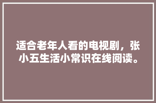 电子导盲犬计划,开启视障人士无障碍出行新篇章