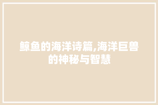 鲸鱼的海洋诗篇,海洋巨兽的神秘与智慧