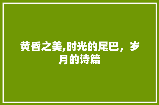 黄昏之美,时光的尾巴，岁月的诗篇