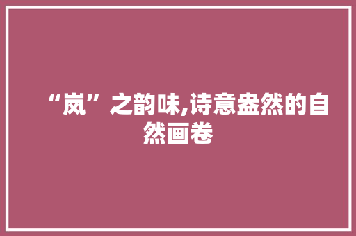 “岚”之韵味,诗意盎然的自然画卷