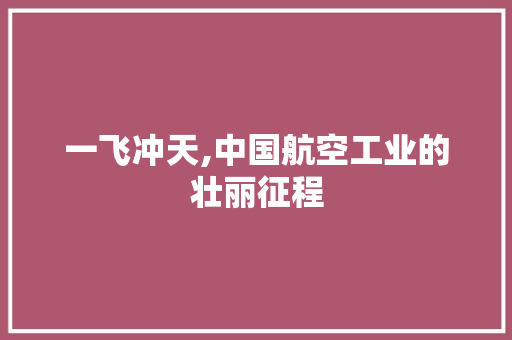 一飞冲天,中国航空工业的壮丽征程
