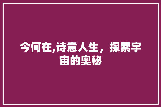 今何在,诗意人生，探索宇宙的奥秘