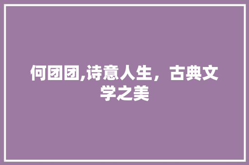 何团团,诗意人生，古典文学之美