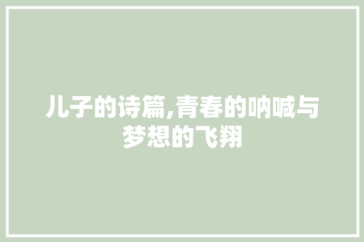 儿子的诗篇,青春的呐喊与梦想的飞翔
