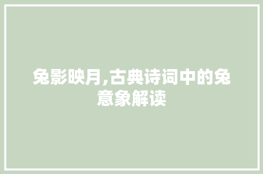 兔影映月,古典诗词中的兔意象解读