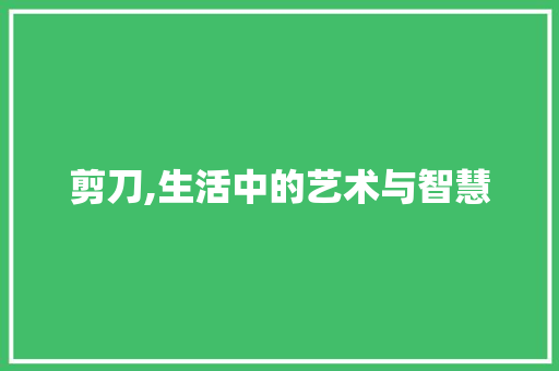 剪刀,生活中的艺术与智慧