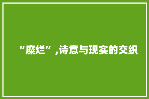 “糜烂”,诗意与现实的交织