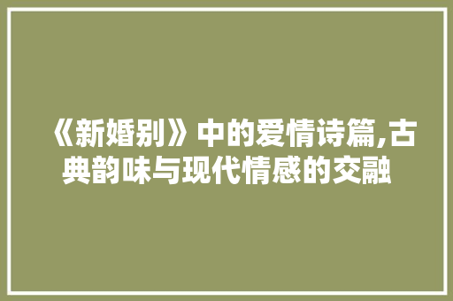 《新婚别》中的爱情诗篇,古典韵味与现代情感的交融