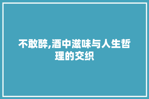 不敢醉,酒中滋味与人生哲理的交织