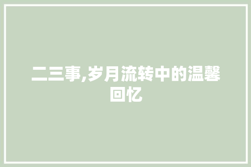 二三事,岁月流转中的温馨回忆