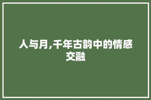 人与月,千年古韵中的情感交融