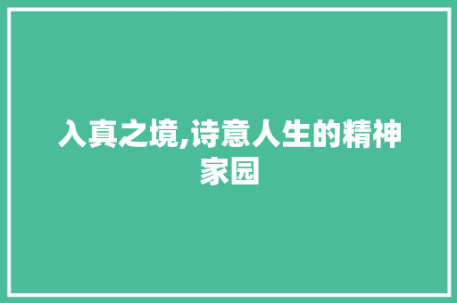入真之境,诗意人生的精神家园