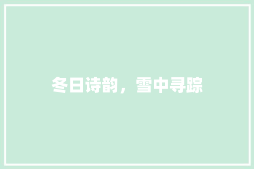 冬日诗韵，雪中寻踪