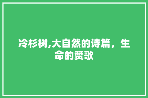 冷杉树,大自然的诗篇，生命的赞歌