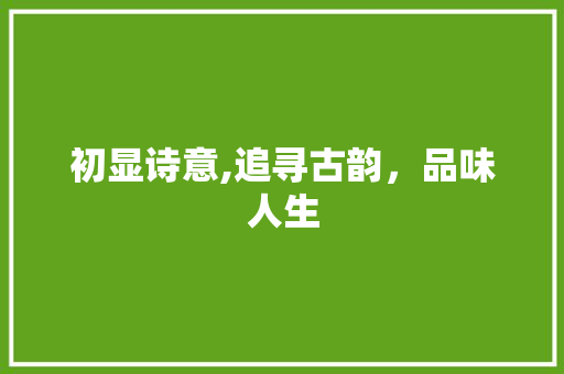 初显诗意,追寻古韵，品味人生