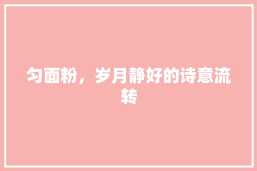 匀面粉，岁月静好的诗意流转