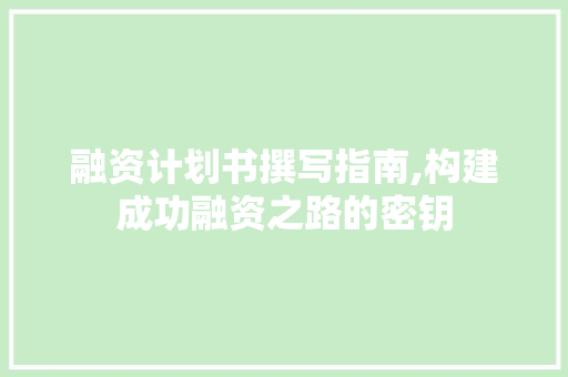 融资计划书撰写指南,构建成功融资之路的密钥