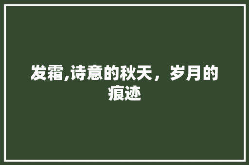 发霜,诗意的秋天，岁月的痕迹