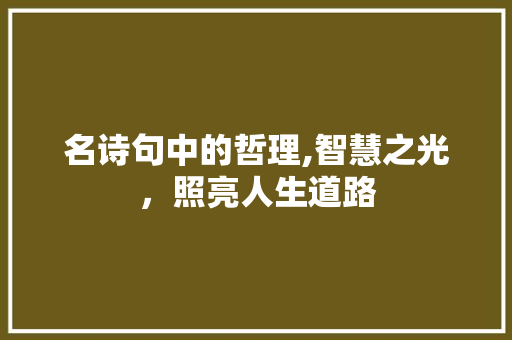 名诗句中的哲理,智慧之光，照亮人生道路