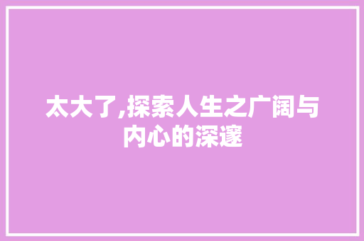 太大了,探索人生之广阔与内心的深邃