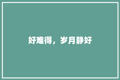 好难得，岁月静好