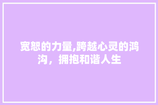 宽恕的力量,跨越心灵的鸿沟，拥抱和谐人生