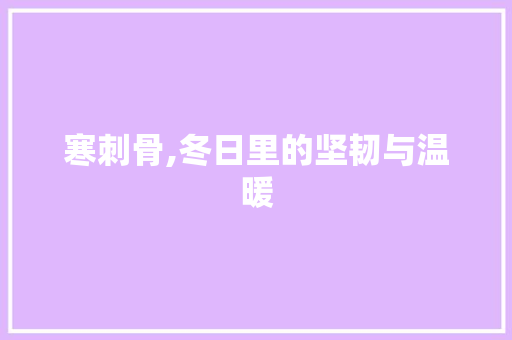 寒刺骨,冬日里的坚韧与温暖