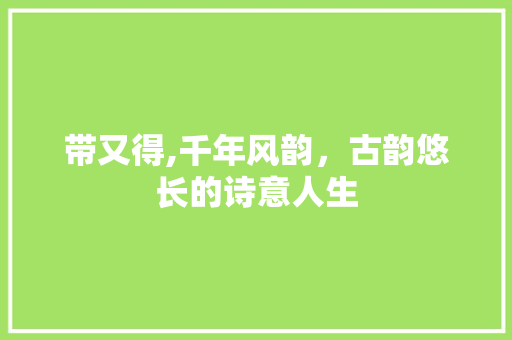 带又得,千年风韵，古韵悠长的诗意人生