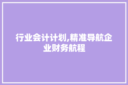 行业会计计划,精准导航企业财务航程