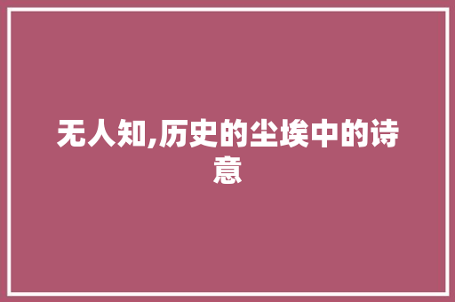 无人知,历史的尘埃中的诗意