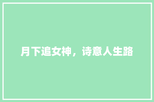月下追女神，诗意人生路