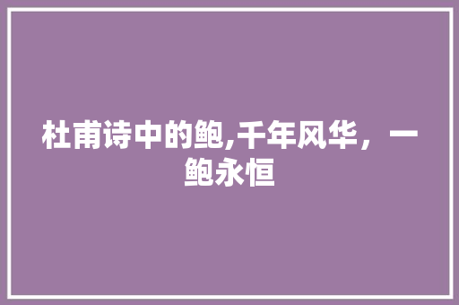杜甫诗中的鲍,千年风华，一鲍永恒