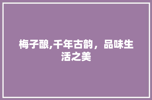 梅子酿,千年古韵，品味生活之美