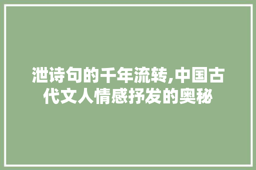 泄诗句的千年流转,中国古代文人情感抒发的奥秘