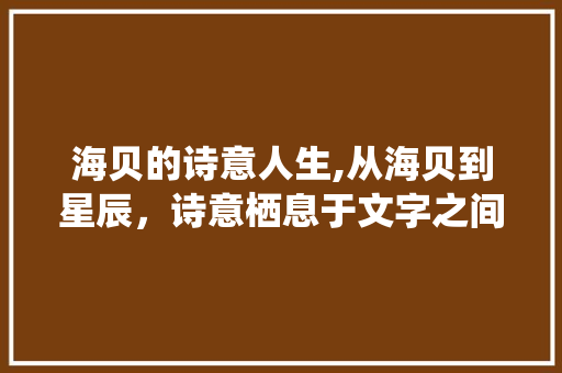 海贝的诗意人生,从海贝到星辰，诗意栖息于文字之间